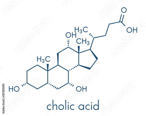 Cholic acid (cholate) molecule. Main bile acid component. Skeletal formula.