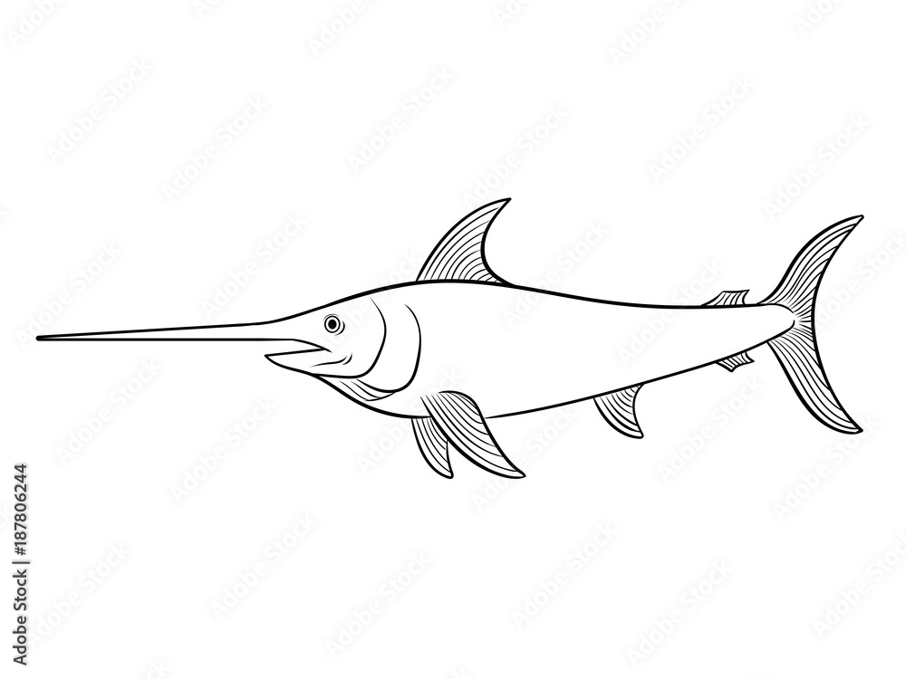 Obraz premium Swordfish coloring book vector illustration