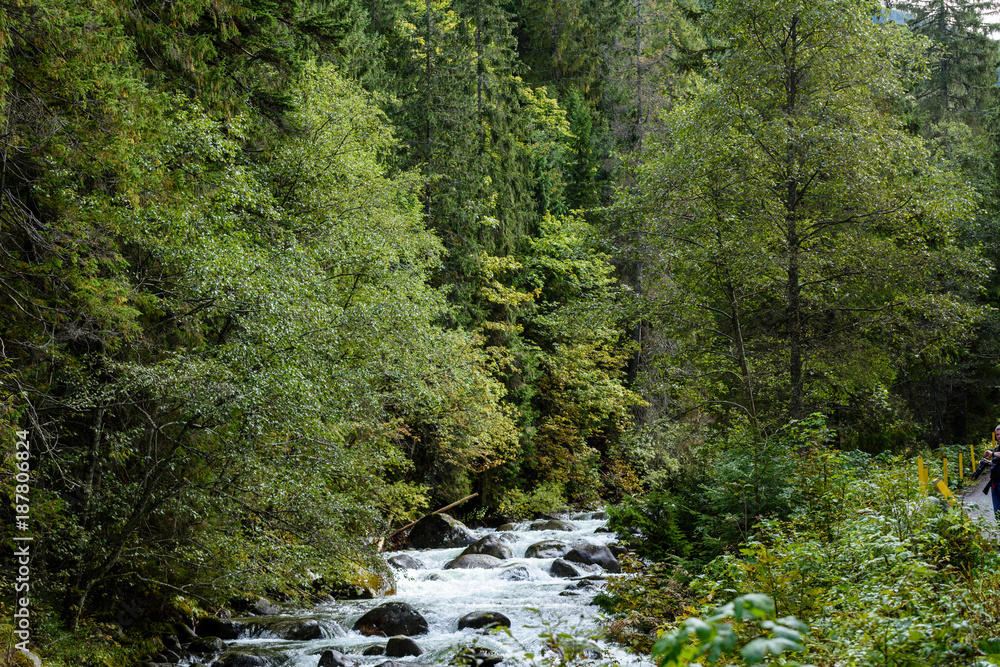 mountain river in summer. Bialka river, Poland mountain river in summer. Bialka river, Poland