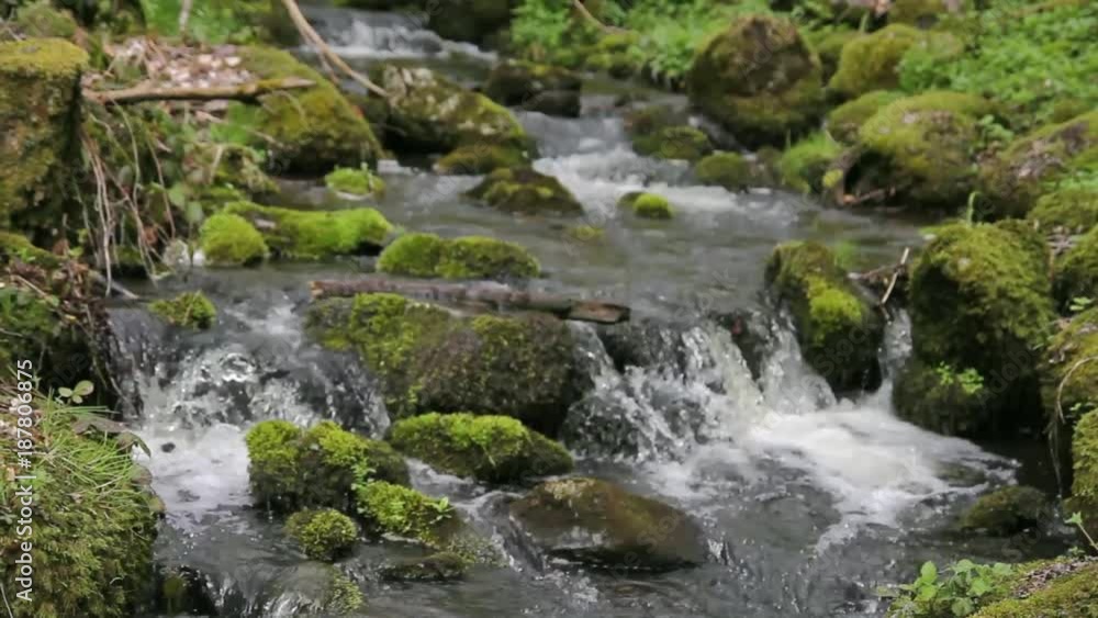 Klarer Bach plätschert im Herzen Deutschlands Klarer Bach plätschert im Herzen Deutschlands