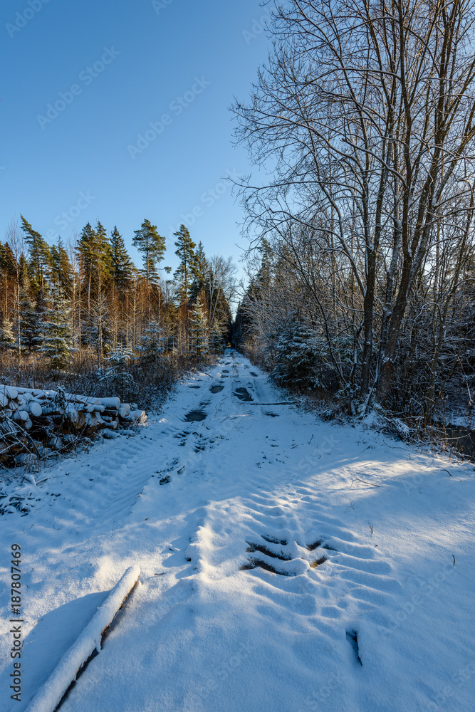 car tire tracks on winter road