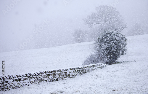 Snow is coming down