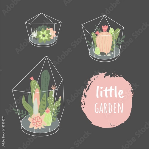 Little garden. Vector set with cute cactuses and succulents in terrariums. Illustration with home plants in scandinavian style.