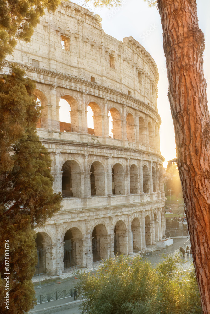 Colosseum in Rome. Italy. Sunny.