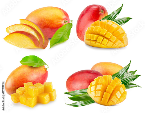 collection of mango isolated on a white background