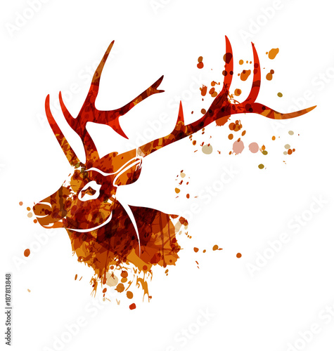 Vector watercolor silhouette head deer