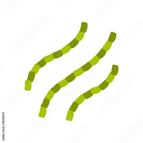 Escherichia coli icon, flat style