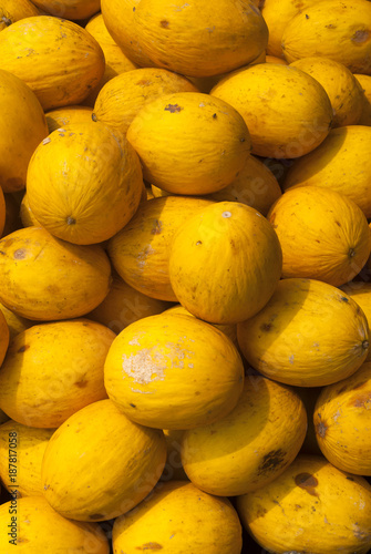 Pile of yellow cantaloupes in local fruit market of Guatemala