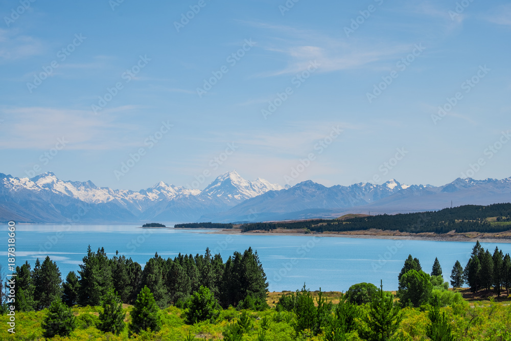 Beautiful scene of Mt Cook in summer beside the lake with green tree and blue sky. New Zealand