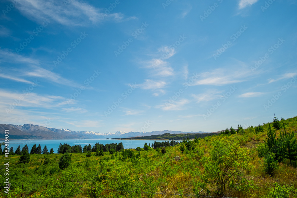 Beautiful scene of Mt Cook in summer beside the lake with green tree and blue sky. New Zealand