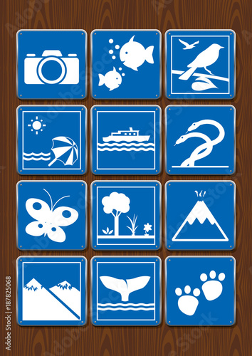 Set icons of photography, aquarium, bird watching, beach, navigable river, serpentarium, butterfly garden, forest, volcano, whale watching, zoo. Icons in blue color on wooden background. Vector image