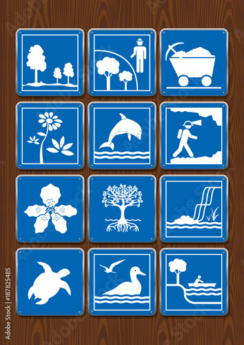 Set icons of protected area, mining, flower, dolphin, geology, orchid, mangrove, waterfall, turtle, seabirds, navigable river. Icons in blue color on wooden background. Vector image