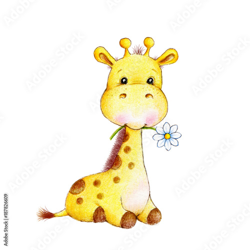 Photography Cute giraffe with flower