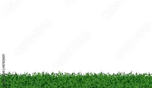 Grass ground background