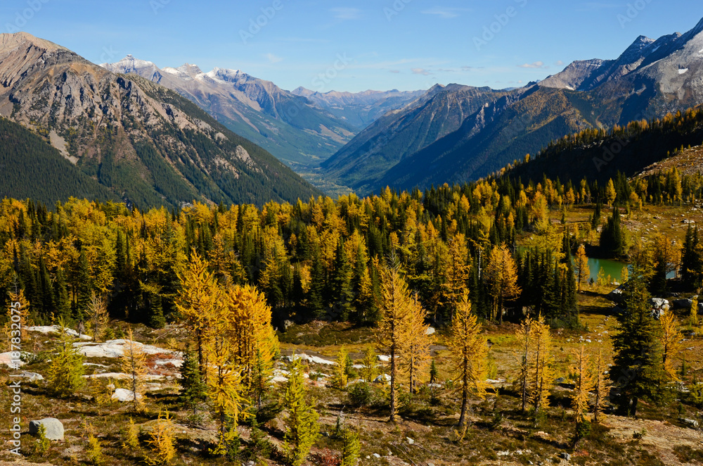 Jumbo Pass British Columbia Canada in Fall with Larch