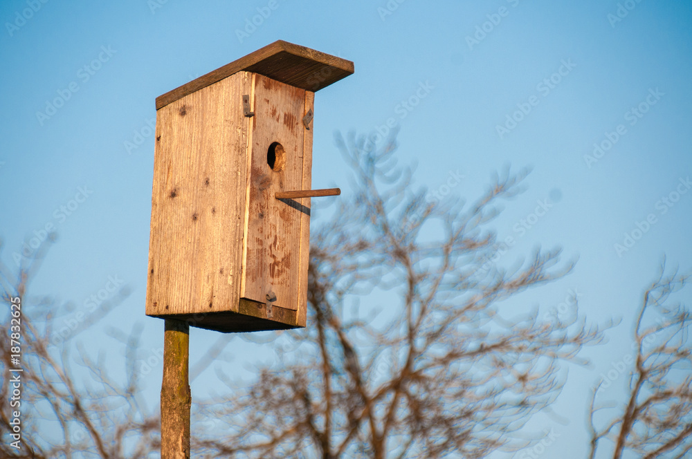 Birdhouse or nesting box hanging on a tree. Autumn forest Birdhouse or nesting box hanging on a tree. Autumn forest