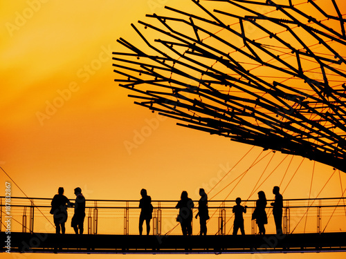 Silhouettes of travellers on the bridge of Gardens by the Bay Singapore.