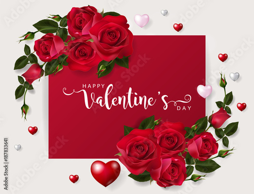 Valentine's day greeting card templates with realistic of beautiful red rose on background color. Vector Eps.10