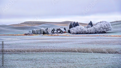 Farm house in rolling hills farmlands. Frozen crops and trees covered with frost in winter. Palouse. Southeast Washington. United States of America. photo