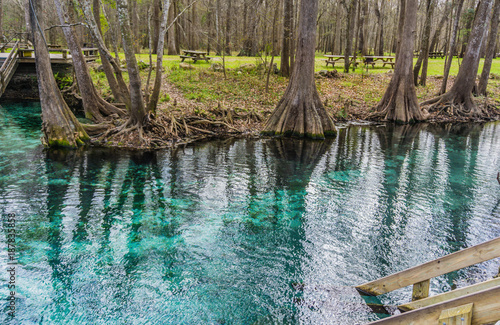 Fototapeta Naklejka Na Ścianę i Meble -  Beautifully amazing clear water of Florida Ginnie Springs