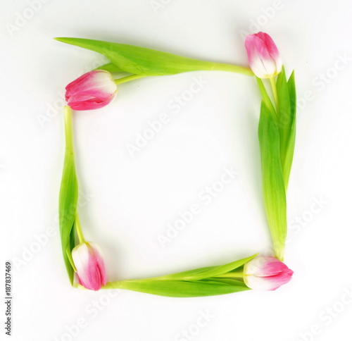 Fototapeta Naklejka Na Ścianę i Meble -  a bouquet of beautiful pink tulips on a white background.top view. . Holiday concept