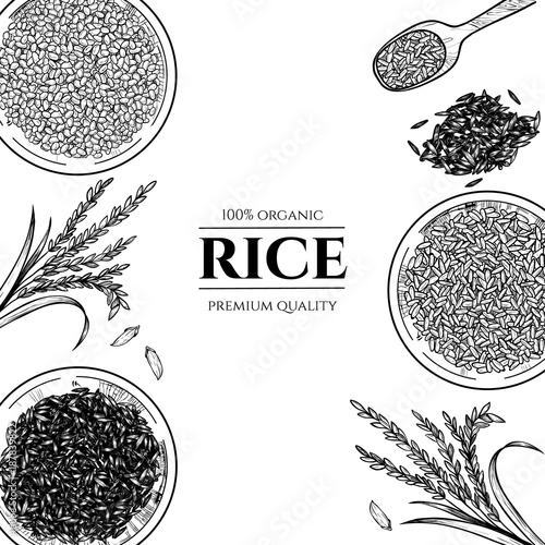 Vector frame with rice . Hand drawn. Vintage style