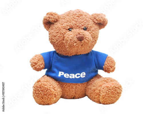 Brown teddy bear wear blue shirt isolated with white background