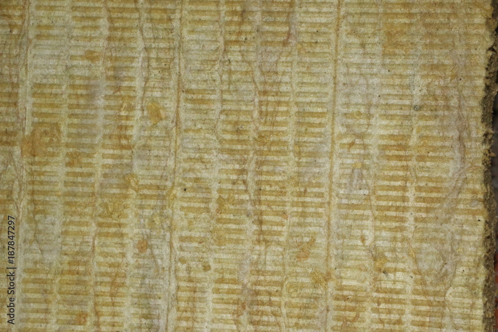 soft fibrous texture for wallpaper and background soft fibrous texture for wallpaper and background
