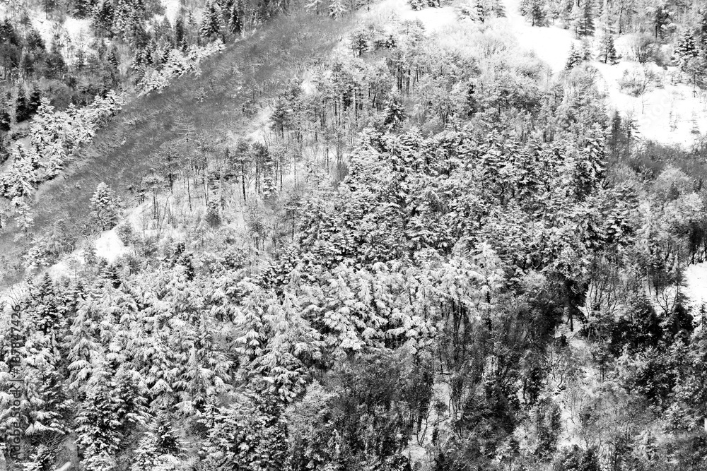 Aerial view of trees covered by snow in a forest, on the side of Subasio mountain (Umbria), creating a kind of abstract texture Aerial view of trees covered by snow in a forest, on the side of Subasio mountain (Umbria), creating a kind of abstract texture