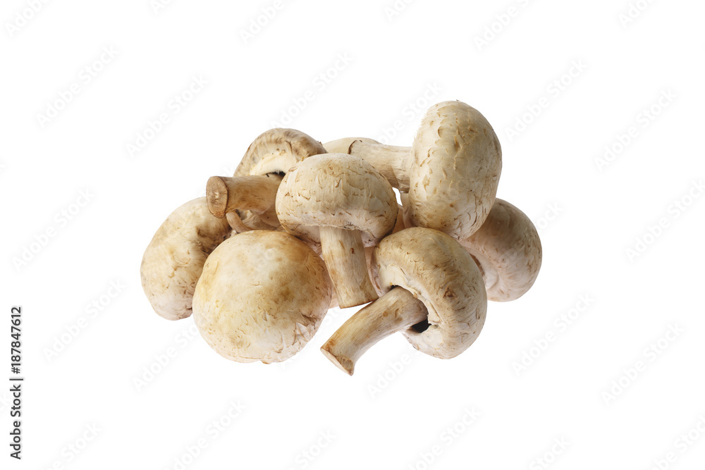 champignon, Mushrooms isolated on white background. champignon, Mushrooms isolated on white background.