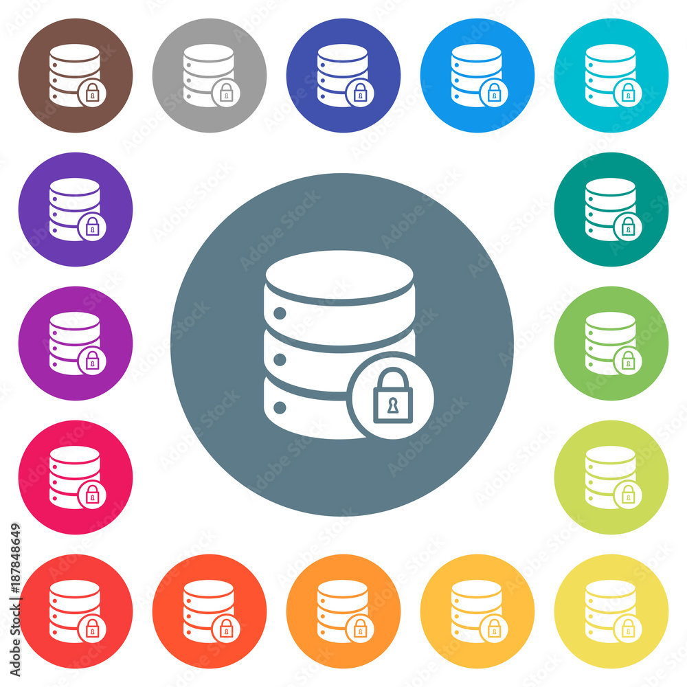 Database lock flat white icons on round color backgrounds
