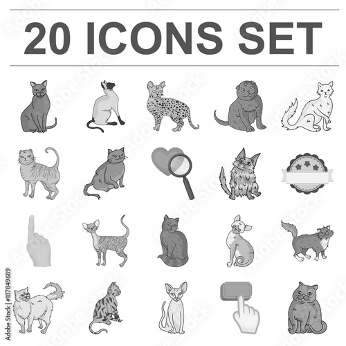 Breeds of cats monochrome icons in set collection for design. Pet cat vector symbol stock web illustration.