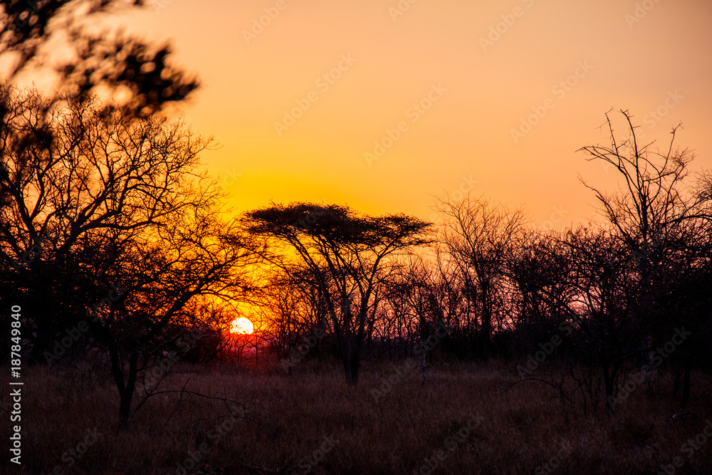 Sunset in Kwazulu Natal, South Africa