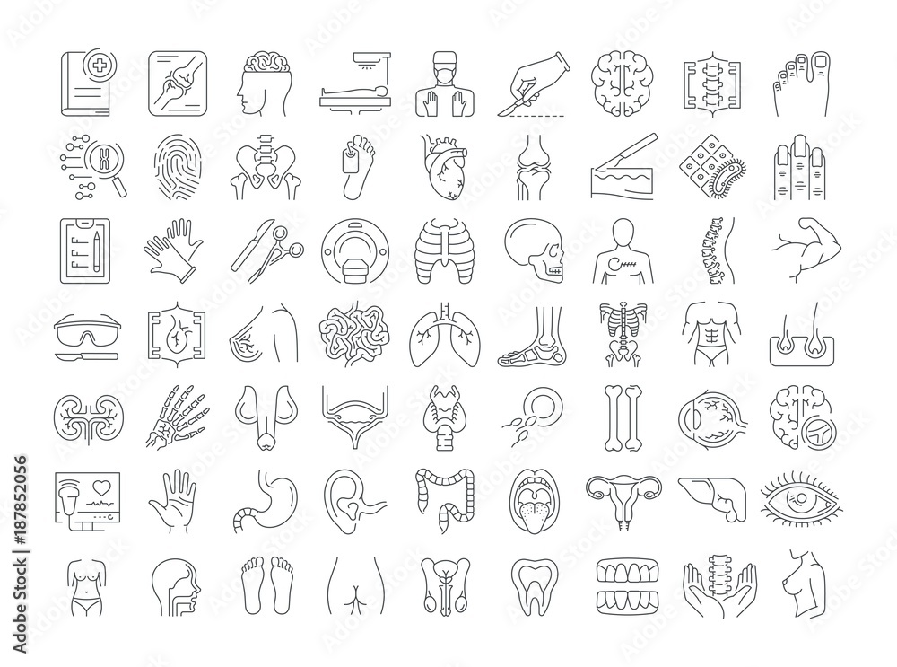 Vector graphic set. Icons in flat, contour, thin, minimal and linear design. Science of anatomy. Study and structure of human internal organs. Concept illustration for Web site. Sign, symbol, element.