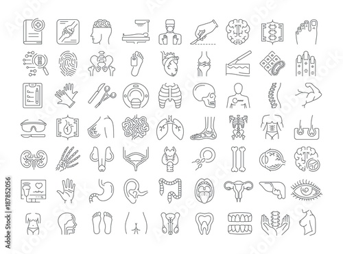 Vector graphic set. Icons in flat  contour  thin  minimal and linear design. Science of anatomy. Study and structure of human internal organs. Concept illustration for Web site. Sign  symbol  element.