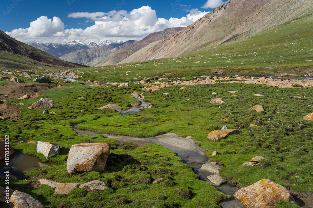 Warila pass in summer in Leh city, Leh, Ladakh, Jammu Kashmir, India
