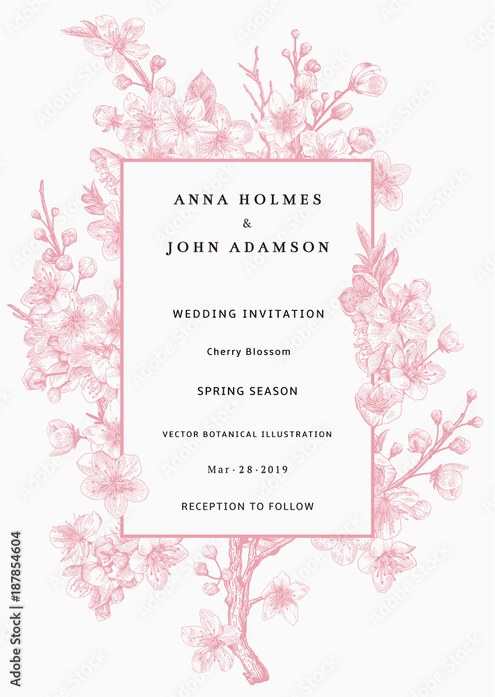 Sakura. Wedding invitation. Pink cherry blossom branch. Vector botanical illustration.