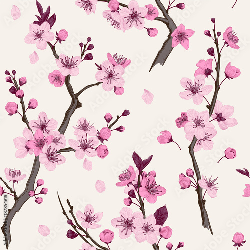 Sakura. Seamless pattern. Pink Cherry blossom branches. Vector botanical illustration.