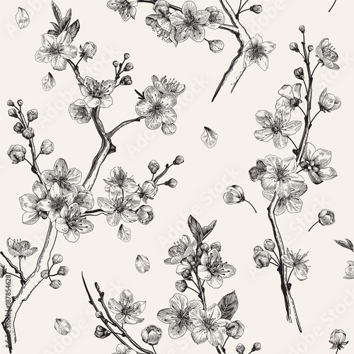 Sakura. Seamless pattern. Cherry blossom branches. Vector botanical illustration. Black and white
