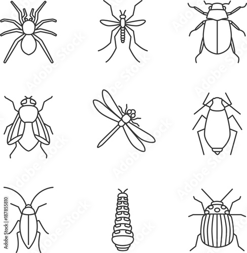 Insects linear icons set