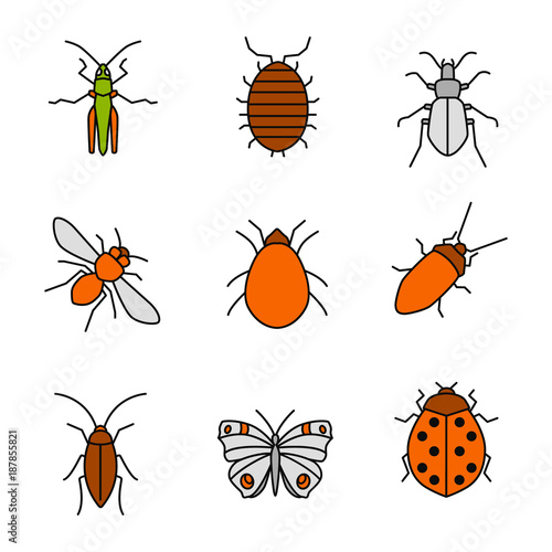 Insects color icons set