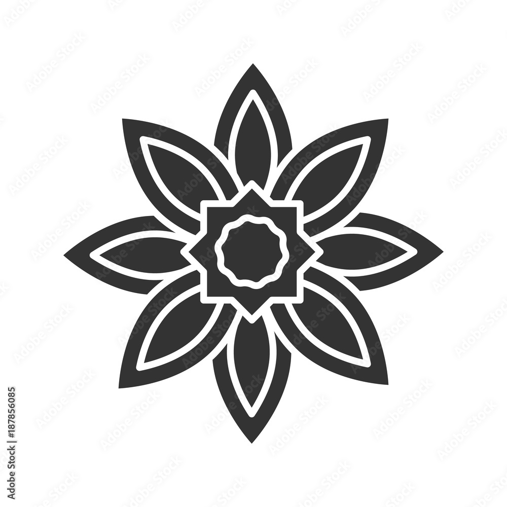 Islamic star glyph icon