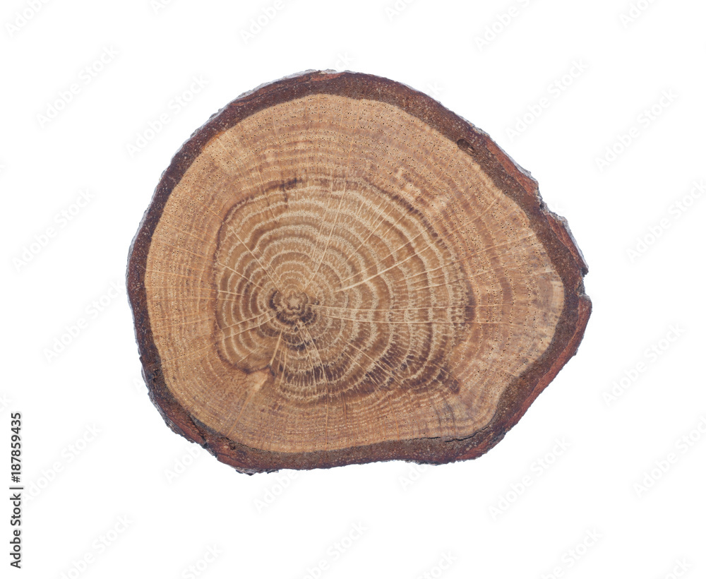 Fototapeta premium Rough wooden circle isolated on white background