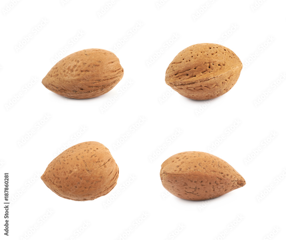 Single almond nut isolated Single almond nut isolated