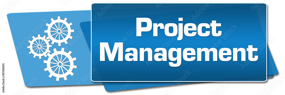 Project Management Blue Side Squares 