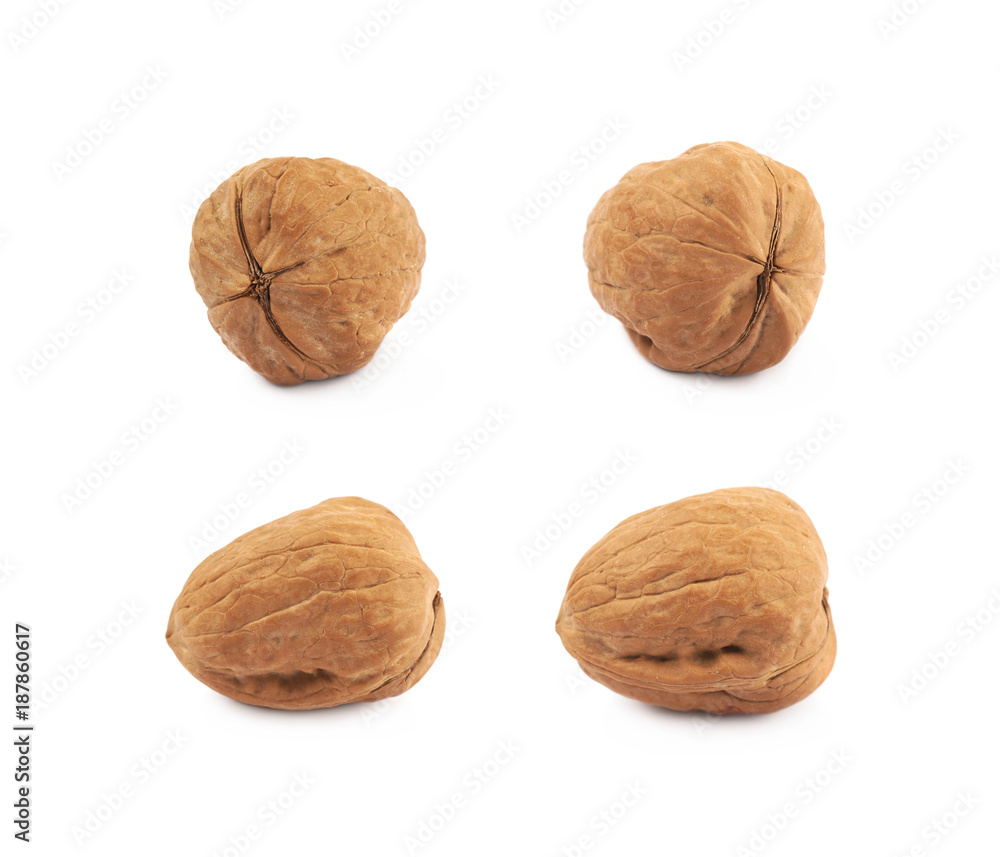Single walnut isolated Single walnut isolated