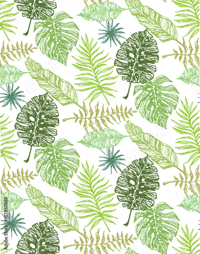 Hand drawn doodle palm tree leaves pattern. © jane55