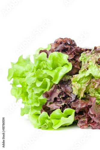närbild på grön och röd plocksalad isolerat mot vitt