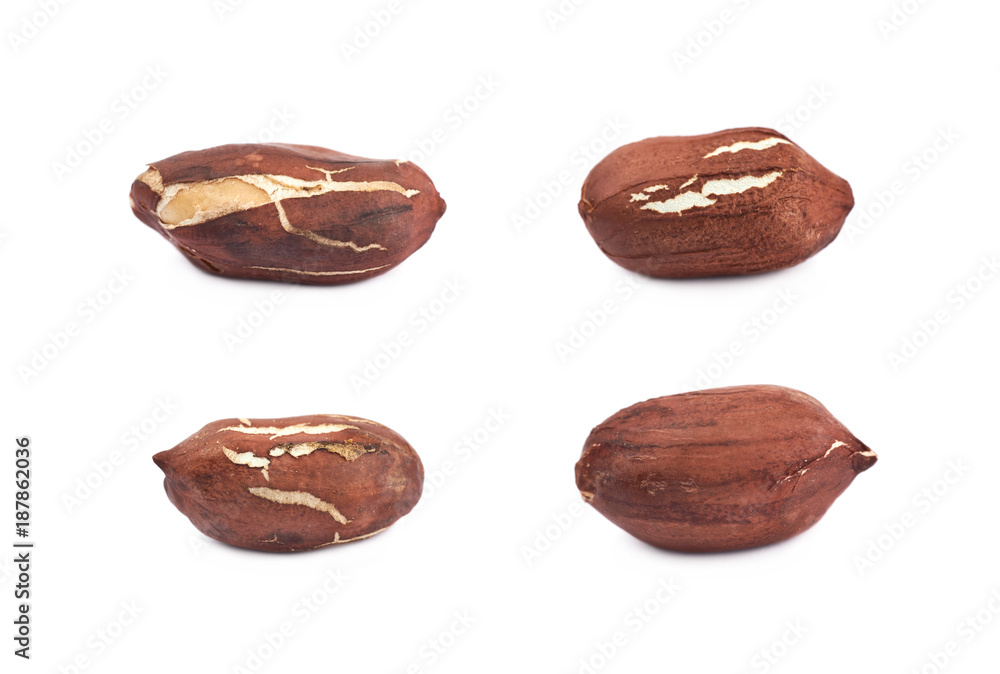 Single peanut in a shell isolated Single peanut in a shell isolated