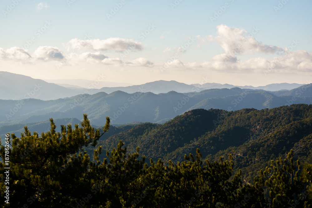 Fototapeta premium Photo of vegetation in hills